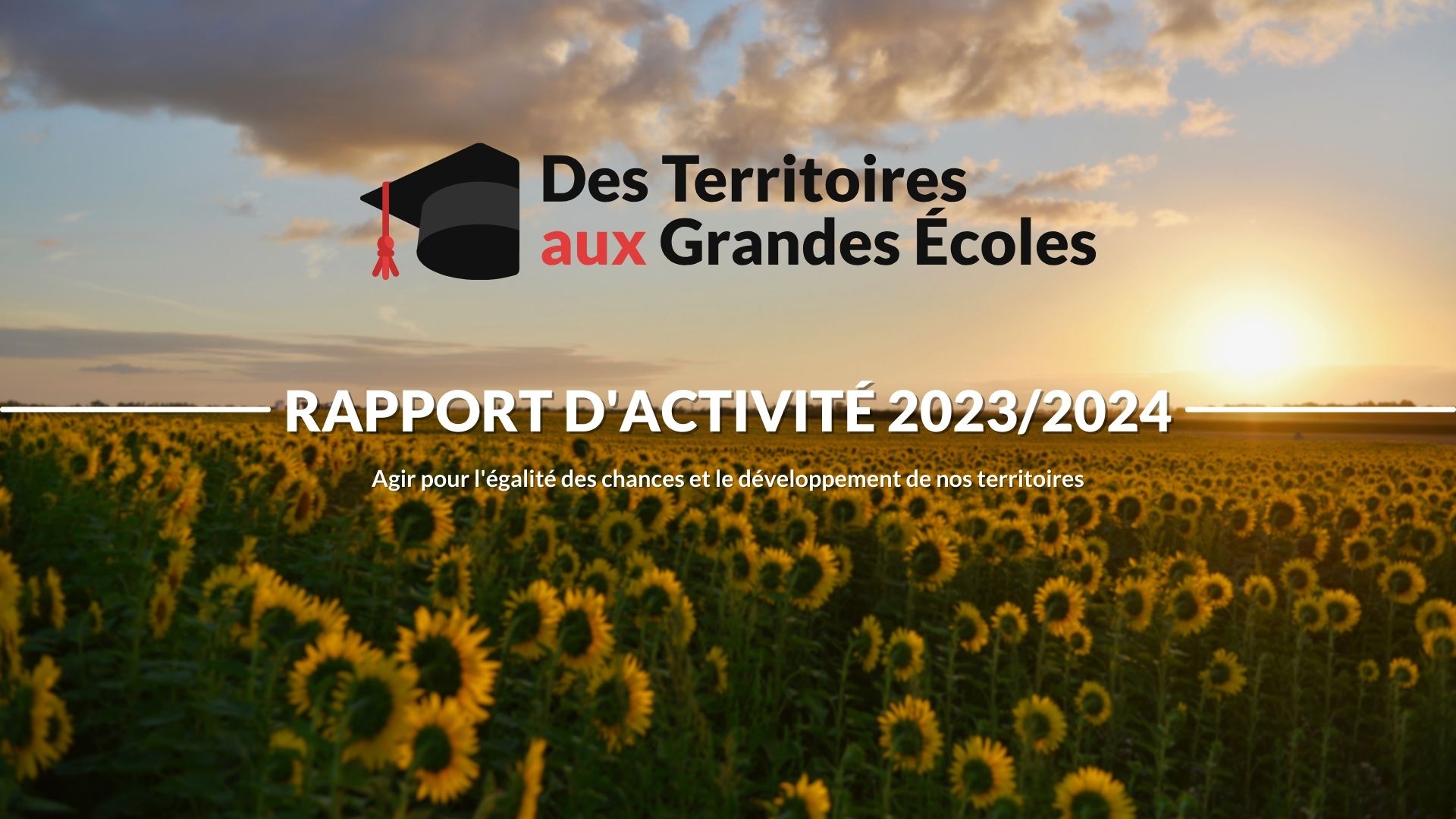 Rapport d’activité 2023-2024